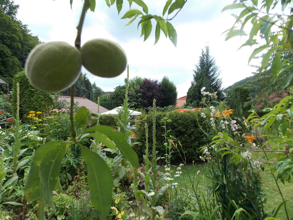 Landhotel Fasanenhof Eschwege Kültér fotó